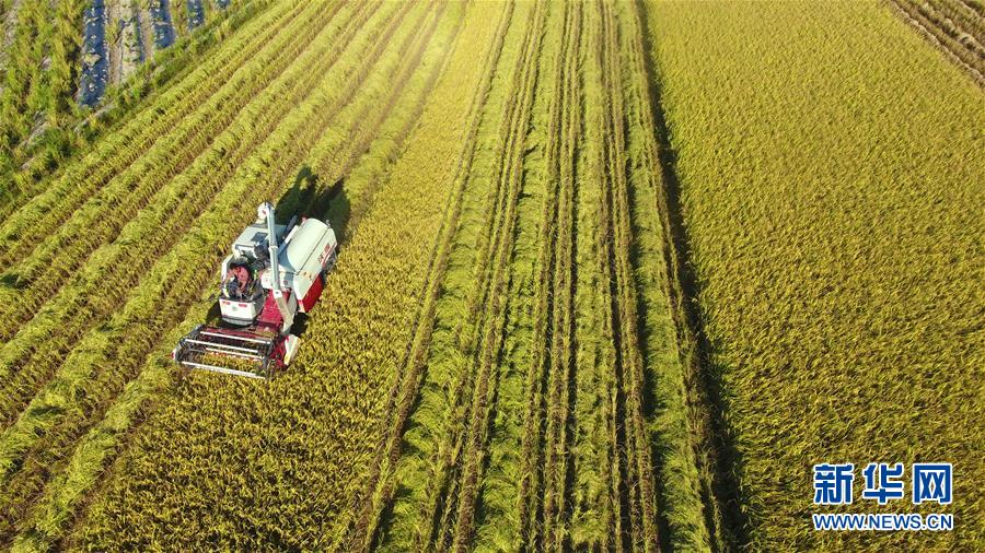 #����(j��ng)��(j��)����4�������r(n��ng)æ