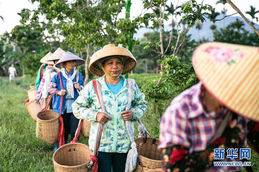 �����(hu��)����2�����ϣ����l(xi��ng)���~��Óؚ