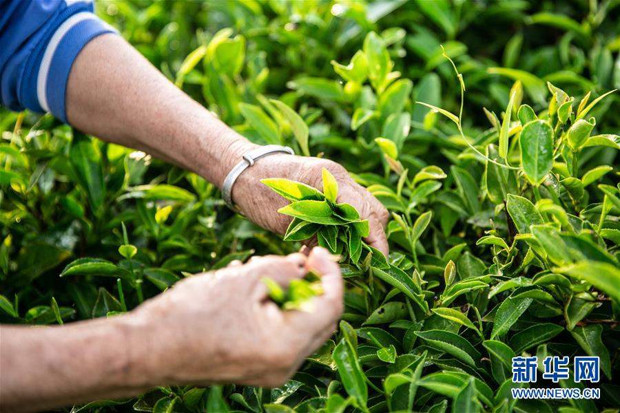 �����(hu��)����3�����ϣ����l(xi��ng)���~��Óؚ