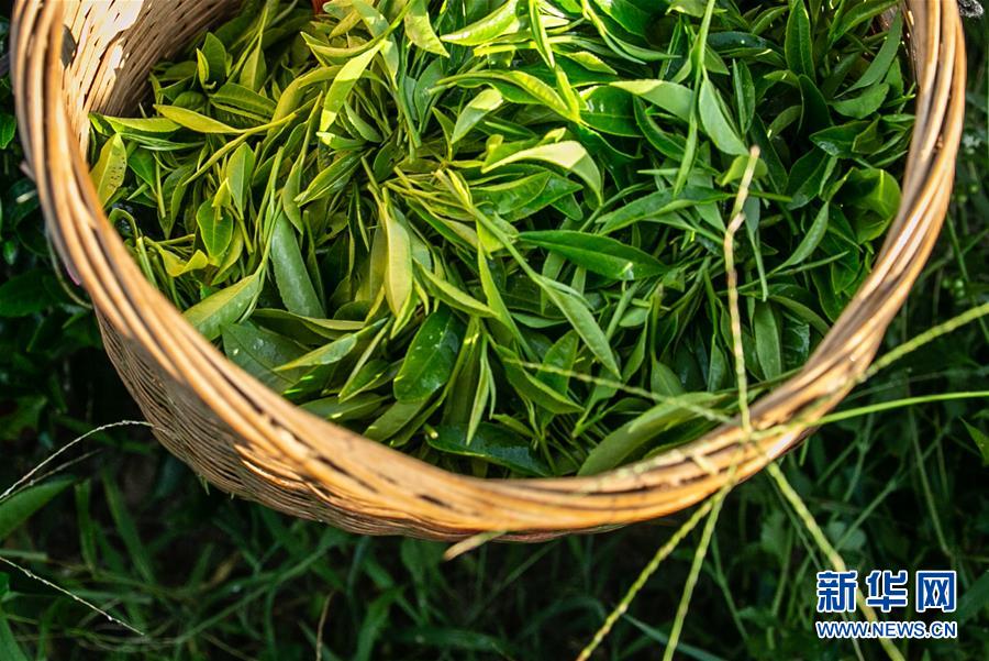 �����(hu��)����6�����ϣ����l(xi��ng)���~��Óؚ