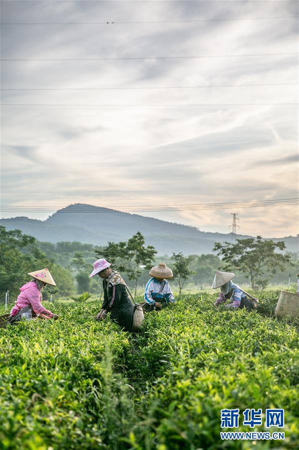 �����(hu��)����7�����ϣ����l(xi��ng)���~��Óؚ