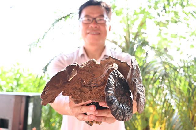 �����л���ý�����p�����l(xi��ng)�塱ϵ�л����ʽ�_��