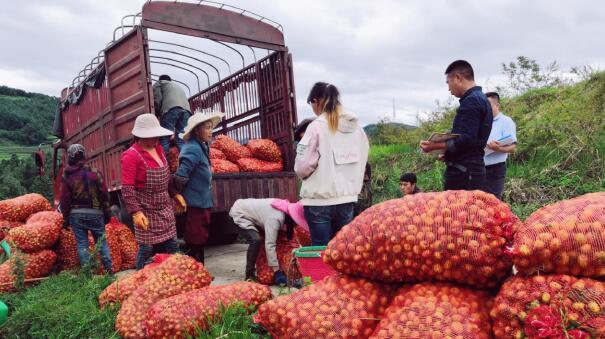 �P����֧��950�fԪ���a�I(y��)�����^��I(y��)�����Y���J������r������