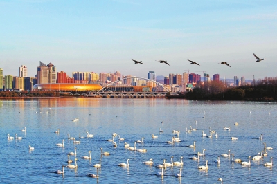  ,���l�ڳ���!���T�{�S�ӎ�^(q��)���Z����