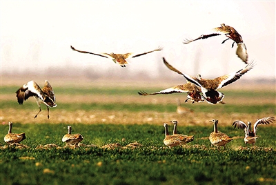 �S�ӝ�غ��B���w �u����Ո���_