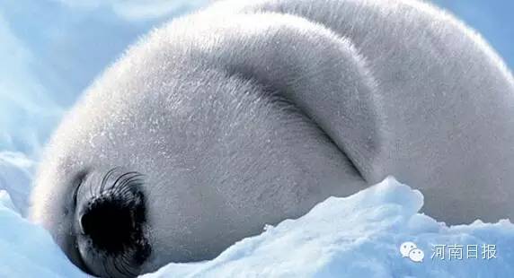 �����������ڃ�!�@Щ�����l(shu��)��ȫ��?���(l��i)�y(c��)�y(c��)