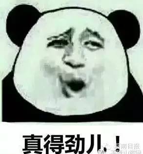 �����������ڃ�!�@Щ�����l(shu��)��ȫ��?���(l��i)�y(c��)�y(c��)