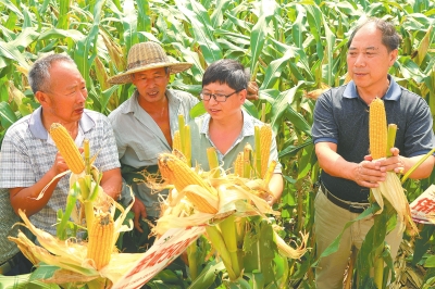 ���(y��ng)���g�ƽ��(hu��)���r(n��ng)�񡰺ü��С�