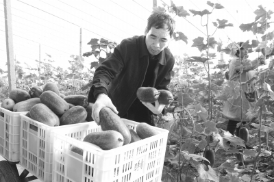 �(xi��ng)���С����߮������u���� ����(d��ng)�r(n��ng)�������¸�