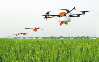 ���ƵZ�^�M(j��n)�����꡿����Ҫ�أ���ֲ�r(n��ng)��l(f��)չ��(y��u)��