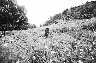 ���T�{�r(n��ng)��N�����͡��r��ƴ�P�� ��ٝ�����r(n��ng)��������