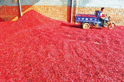 �t�����g����������