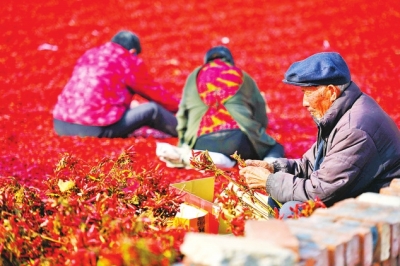 �t�����g����������