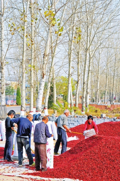 �t�����g����������