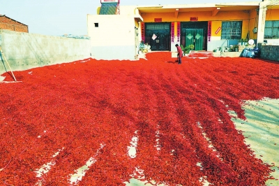 �t�����g����������