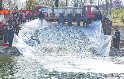 ����_չ?ji��)O�I(y��)�YԴ��ֳ������� 10�fβ�~��ɳ�ӡ����ҡ�