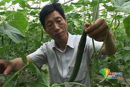 ������쿴�S���L��_����