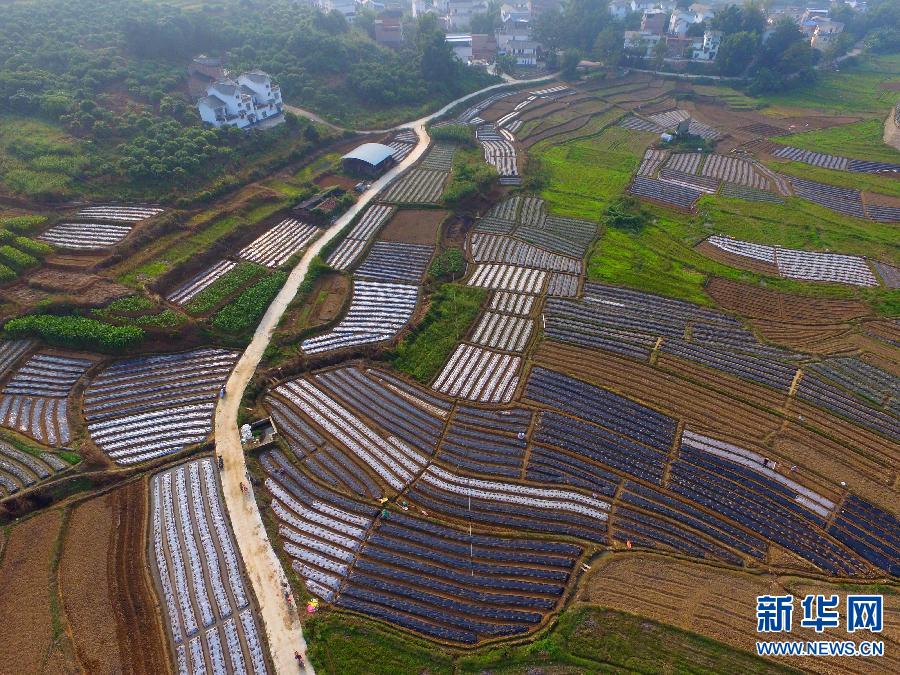 #(�r(n��ng)�I(y��))(2)˪���r��(ji��)��Næ