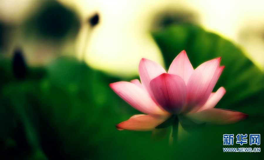 �����^�������r