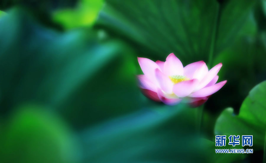 �����^�������r