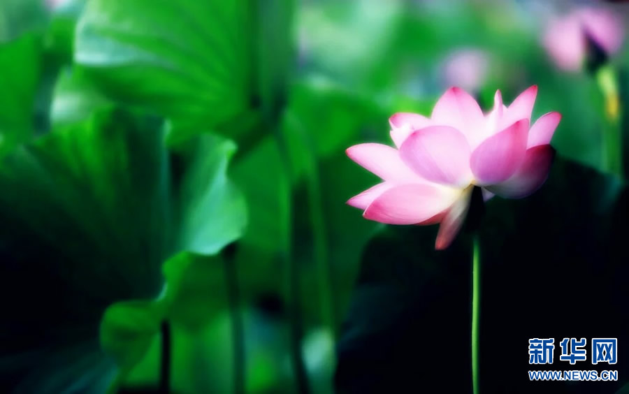 �����^�������r