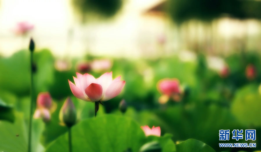 �����^�������r