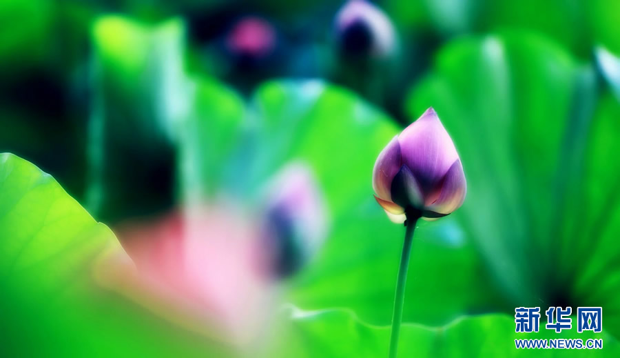 �����^�������r