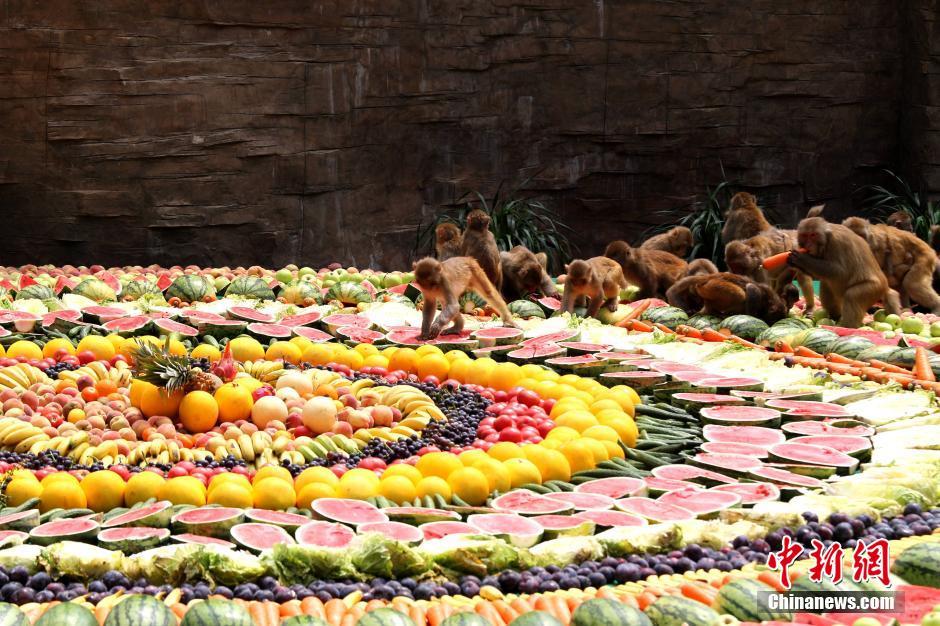 8000��ﳬ��ˮ��ƴ�P��Ո����������