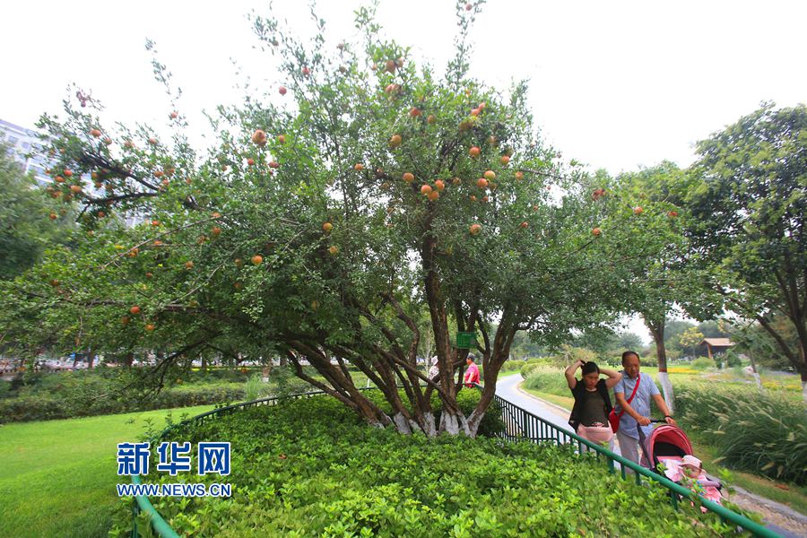  �_(k��i)��:����ʯ���(sh��) �T���[֦�^