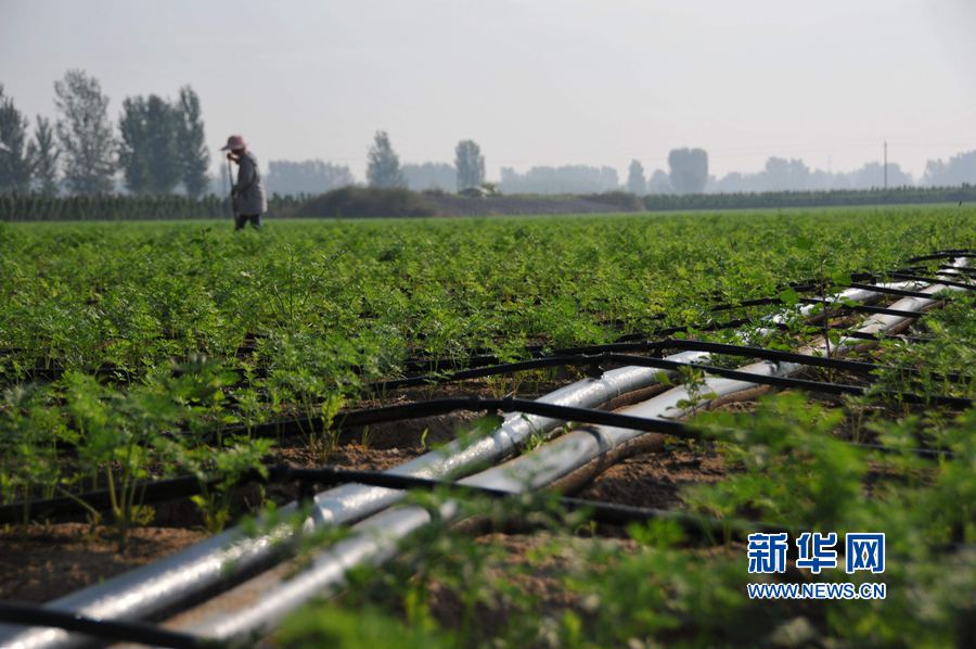 ���σ�(n��i)�S:׌ÿһ��ˮ���l(f��)�]���Ч��