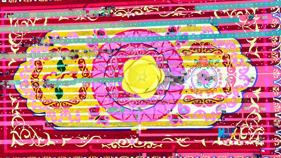 河南鄢陵:300萬(wàn)株鮮花打造巨型“地毯” 河南鄢陵:300萬(wàn)株鮮花打造巨型“地毯”