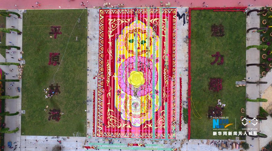 河南鄢陵:300萬(wàn)株鮮花打造巨型“地毯” 河南鄢陵:300萬(wàn)株鮮花打造巨型“地毯”