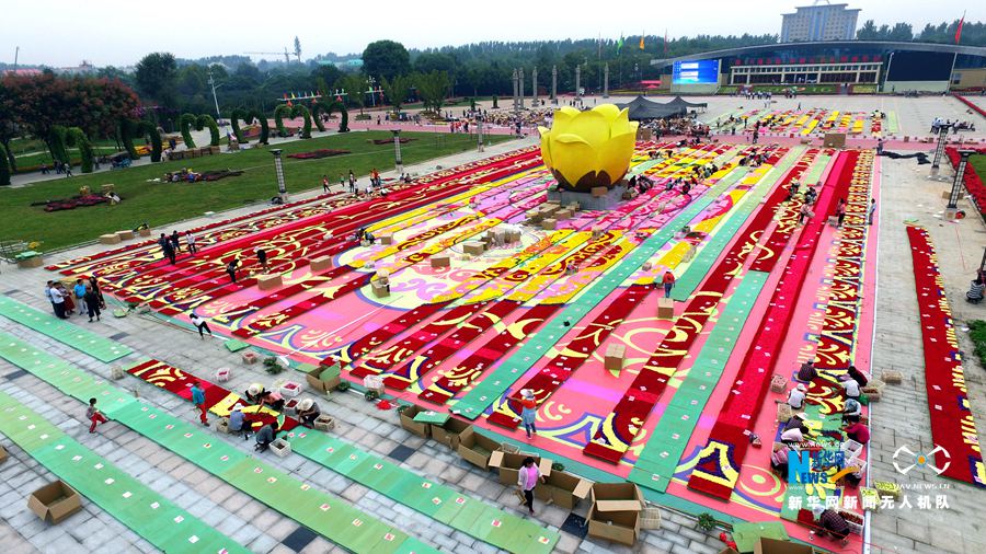 河南鄢陵:300萬(wàn)株鮮花打造巨型“地毯” 河南鄢陵:300萬(wàn)株鮮花打造巨型“地毯”