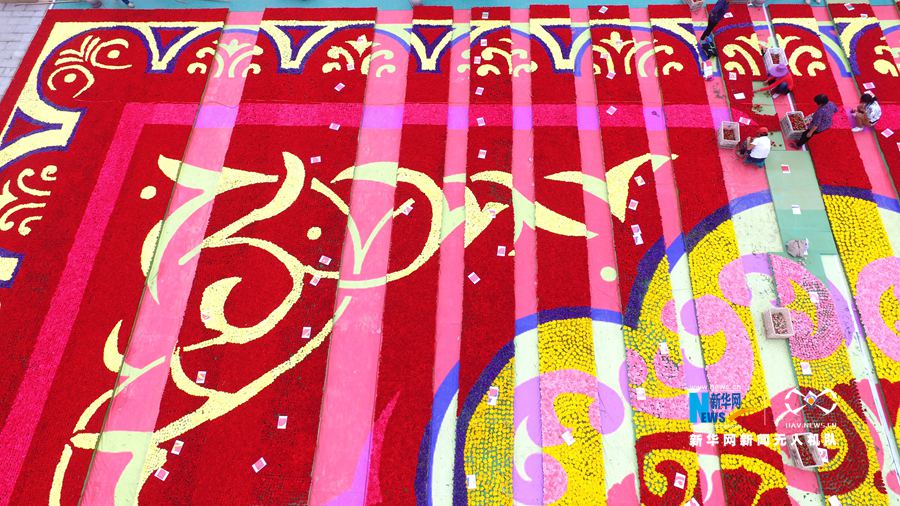 河南鄢陵:300萬(wàn)株鮮花打造巨型“地毯” 河南鄢陵:300萬(wàn)株鮮花打造巨型“地毯”