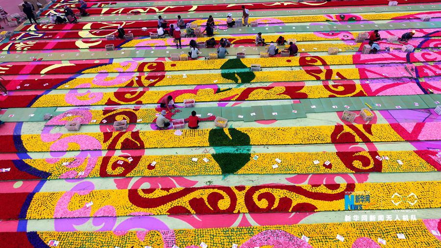 河南鄢陵:300萬(wàn)株鮮花打造巨型“地毯” 河南鄢陵:300萬(wàn)株鮮花打造巨型“地毯”