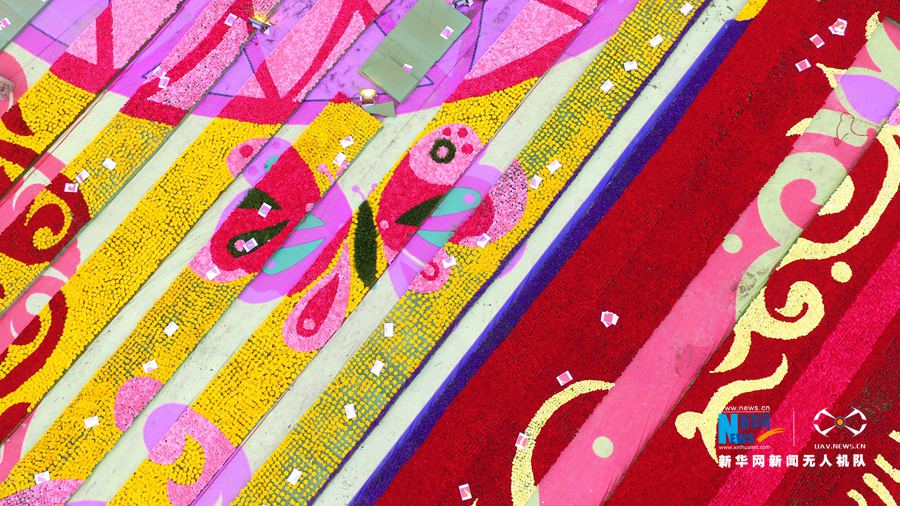 河南鄢陵:300萬(wàn)株鮮花打造巨型“地毯” 河南鄢陵:300萬(wàn)株鮮花打造巨型“地毯”