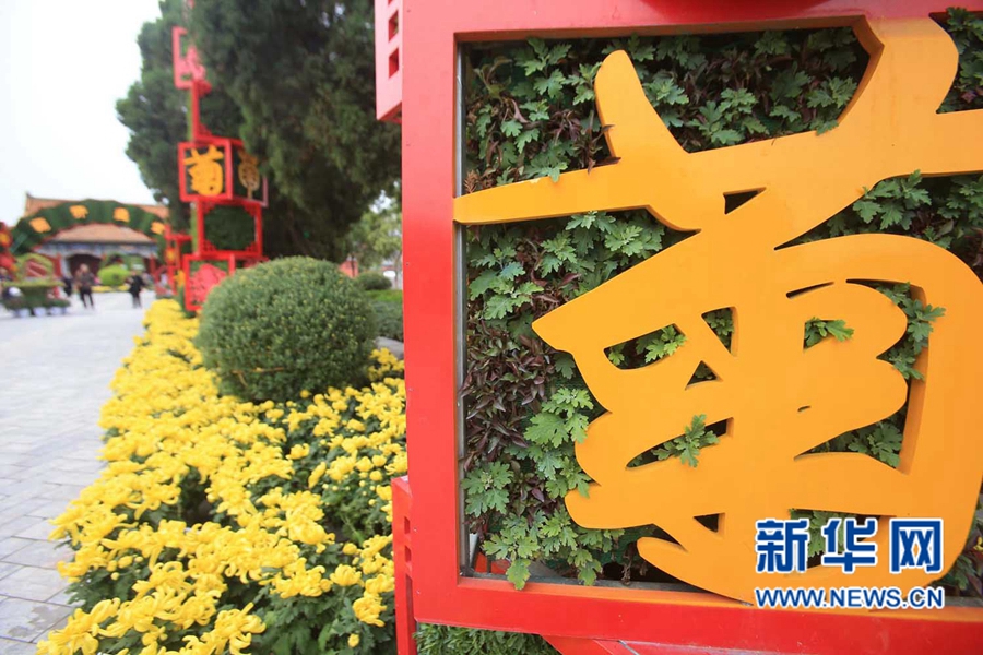 ���F(tu��n)�\�� �����_��