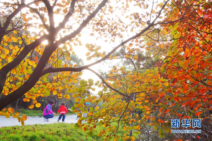 ������(y��ng)������ɽ���������