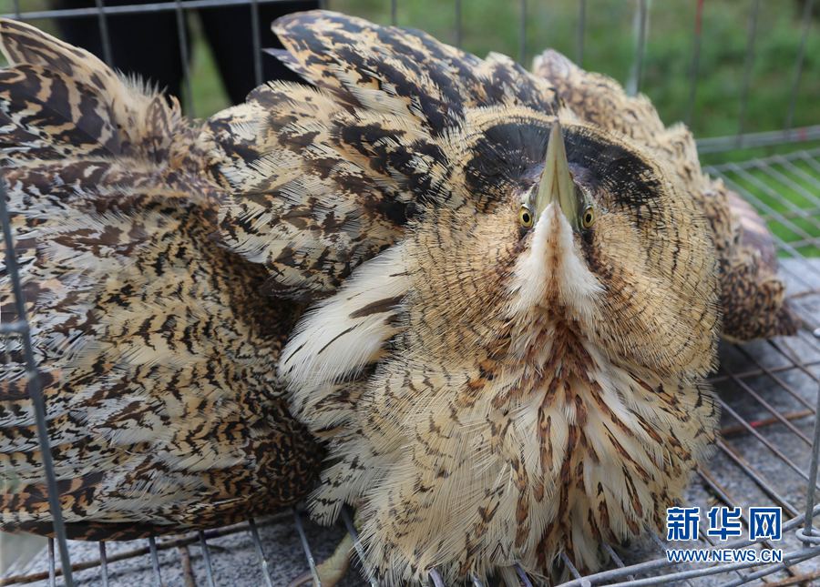 ���ό��S:���������Z