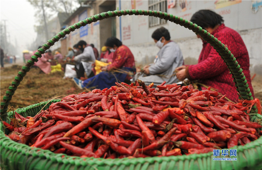 ���σ�(n��i)�S:���؋DŮ����æ