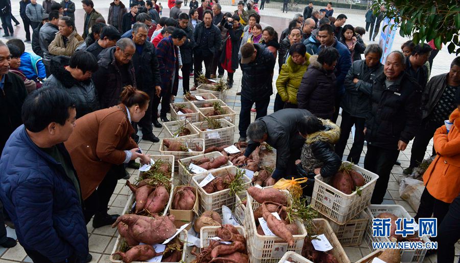 �t�������ޡ�,���ߞ���