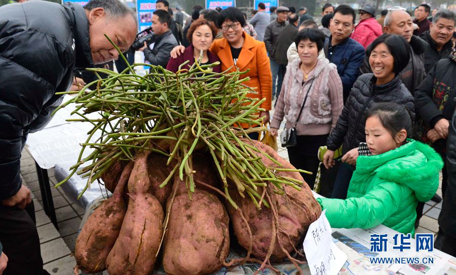 �t�������ޡ�,���ߞ���