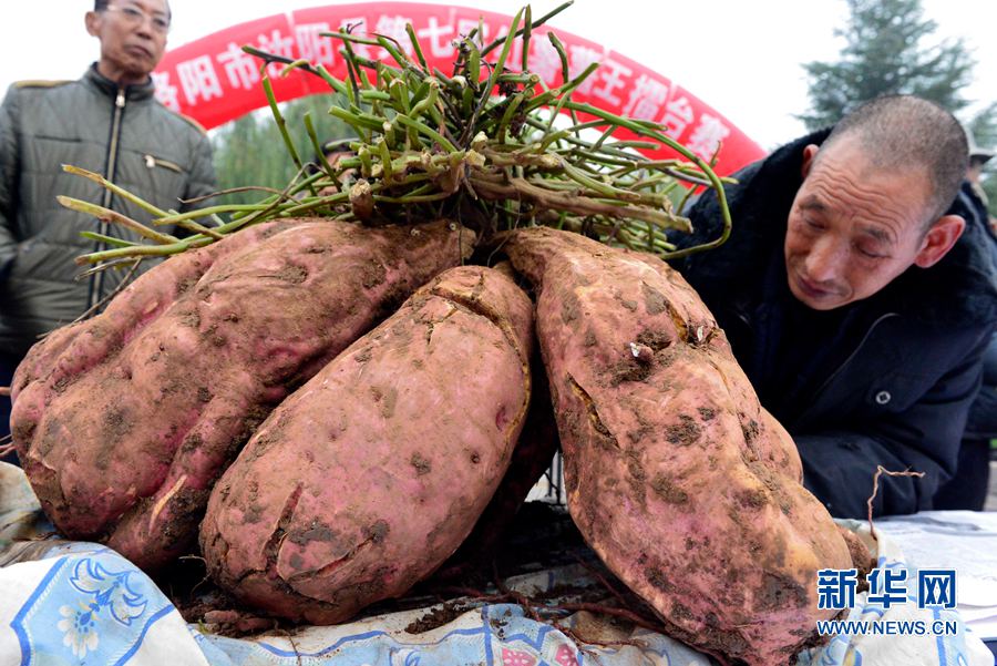 �t�������ޡ�,���ߞ���