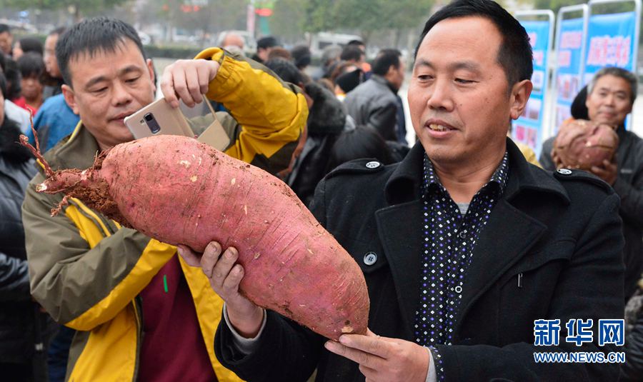 �t�������ޡ�,���ߞ���