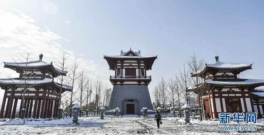 ���:�Ŷ�ѩ� ��������