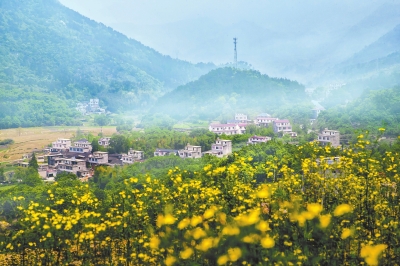 ���f��(y��n)���Z������ԭ����ϡ����h��ʮ�˴��ԁ�(l��i)��ʡÓؚ����(ji��n)�o(j��)��(sh��)