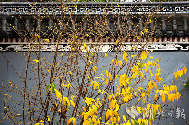 12��26�գ��ں������w��ԭ���ﾰ�^(q��)��ԭ���(n��i)�Ĕz��Ϟ÷��