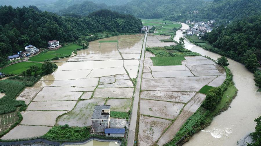 ����Ѵ���飩��4������ɣֲ�܏�����Ӱ� �r(n��ng)�������e�ܞ�