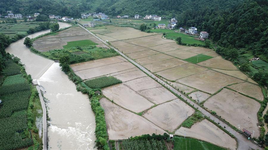 ����Ѵ���飩��5������ɣֲ�܏�����Ӱ� �r(n��ng)�������e�ܞ�