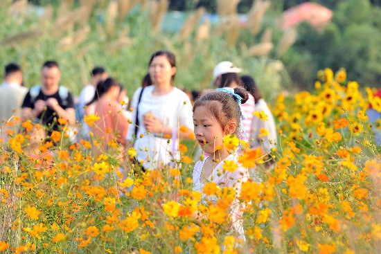 ���A���_�M���S������o��(sh��)����ǰ���p��������(g��)ʮ�����p����������DƬ�����Lɳ���(b��o)ȫý�wӛ�� �R�ı� �z